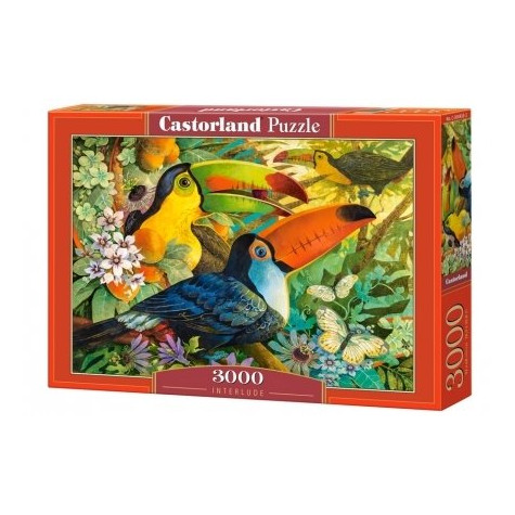 CASTORLAND Puzzle Barevní tukani 3000 dílků