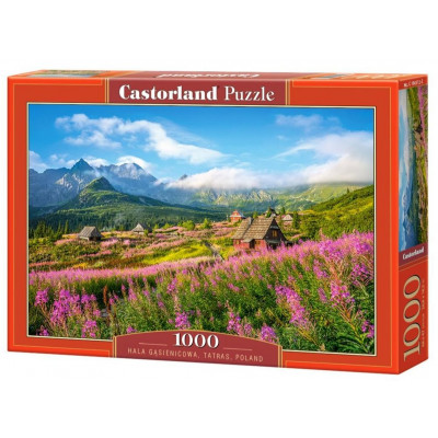 CASTORLAND Puzzle Dolina Gąsienicowa, Tatry 1000 dílků