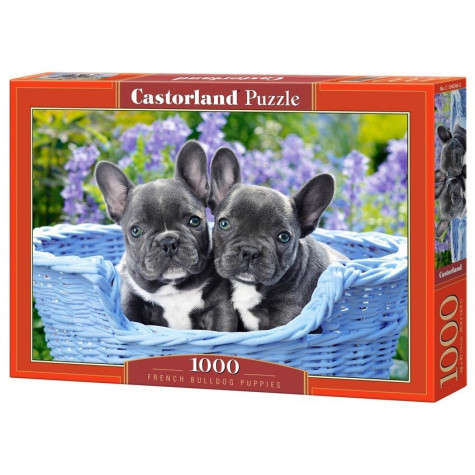 CASTORLAND Puzzle Štěňata francouzského buldočka 1000 dílků ~ 1