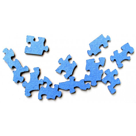 COBBLE HILL Puzzle Santovo hobby 1000 dílků