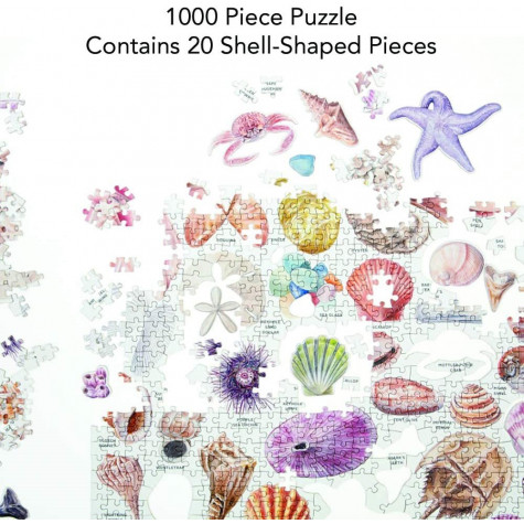 GALISON Puzzle Poklady z pláže 1000 dílků ~ 3