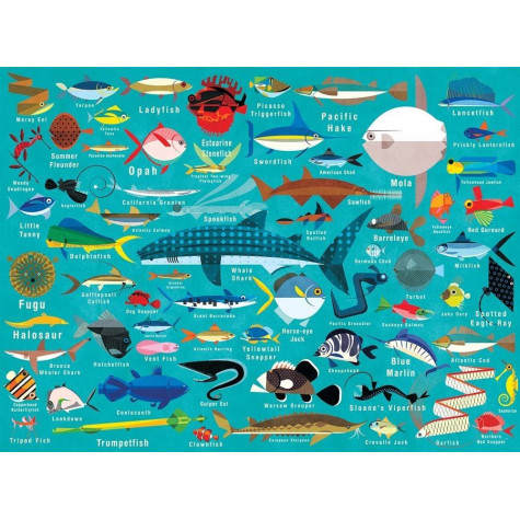 GALISON Puzzle Život v oceánu 1000 dílků ~ 2