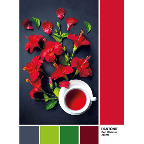CLEMENTONI Puzzle Pantone: Aroma červeného ibišku 1000 dílků ~ 2