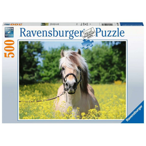 RAVENSBURGER Puzzle Bílý kůň 500 dílků