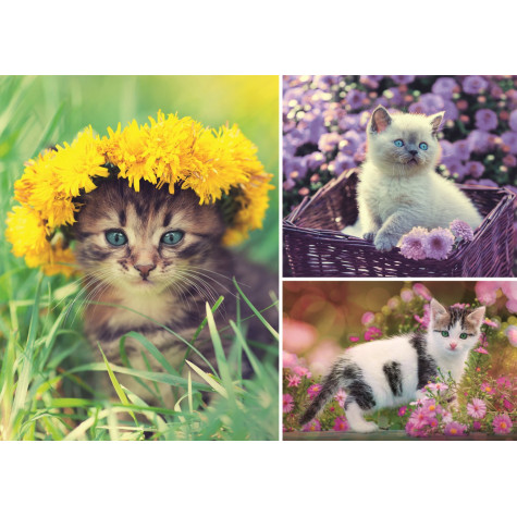 TREFL Puzzle Koťátka - koláž 1000 dílků EKO ~ 2