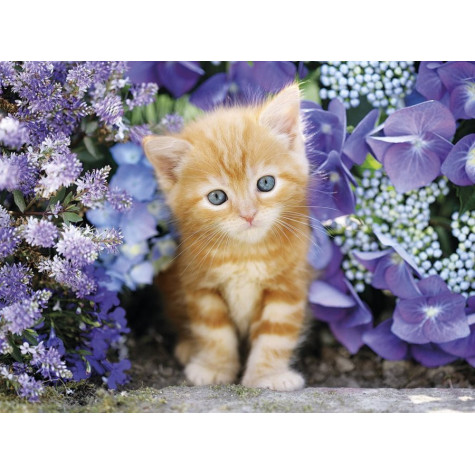 CLEMENTONI Puzzle Zrzavé kotě v květinách 500 dílků