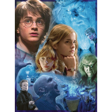 RAVENSBURGER Puzzle Harry Potter a Ohnivý pohár 500 dílků