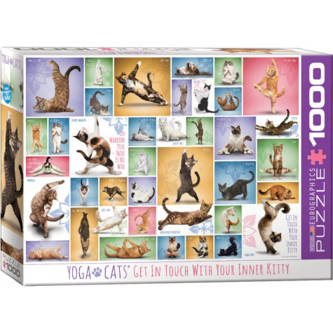 EUROGRAPHICS Puzzle Kočičí jóga 1000 dílků ~ 1