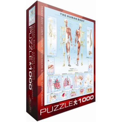 EUROGRAPHICS Puzzle Lidské tělo 1000 dílků