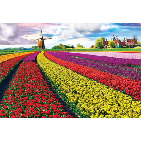 EUROGRAPHICS Puzzle Pole tulipánů (HDR) 1000 dílků