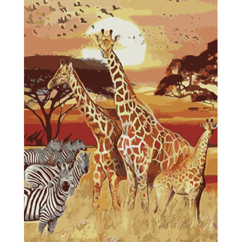 Malování podle čísel - safari