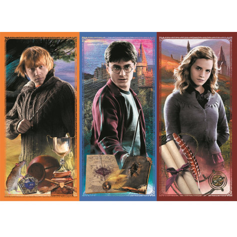 Trefl Puzzle Harry Potter: Ve světě magie a kouzel 200 dílků