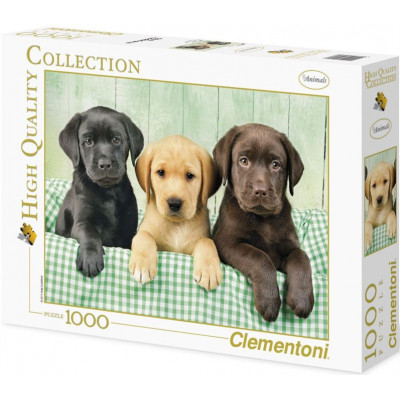 CLEMENTONI Puzzle Tři labradoři 1000 dílků