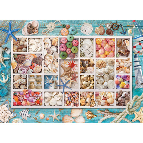 EUROGRAPHICS Puzzle Lauřina sbírka mušlí 1000 dílků ~ 2