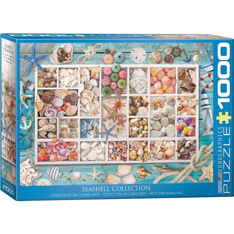 EUROGRAPHICS Puzzle Lauřina sbírka mušlí 1000 dílků ~ 1