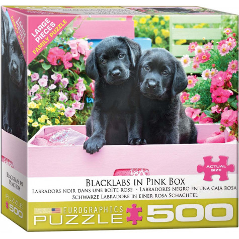 EUROGRAPHICS Puzzle Labradoři v krabici XL 500 dílků ~ 1