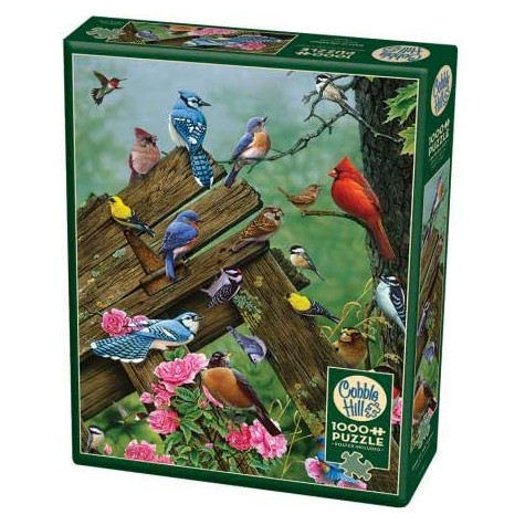 COBBLE HILL Puzzle Lesní ptáci 1000 dílků