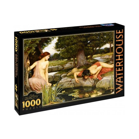 D-TOYS Puzzle Echo a Narcissus 1000 dílků
