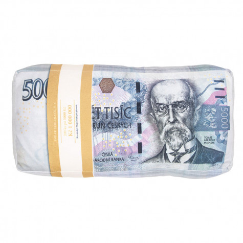 3D polštář 43 x 20 cm - Bankovky ~ 1