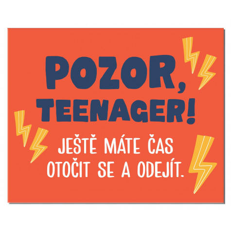 Albi Cedulka na dveře - Teenager ~ 1