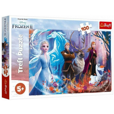 Trefl Puzzle Ledové království II/Frozen II 100 dílků