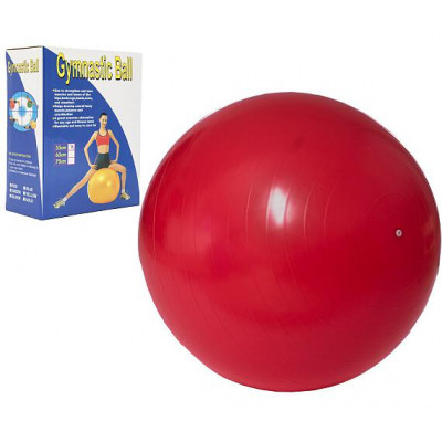Unison Gymnastický míč 55cm rehabilitační relaxační