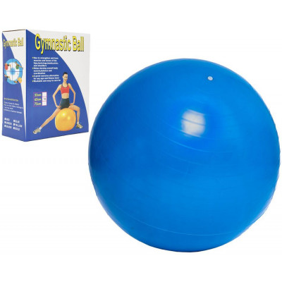 Unison Gymnastický míč 65cm rehabilitační relaxační