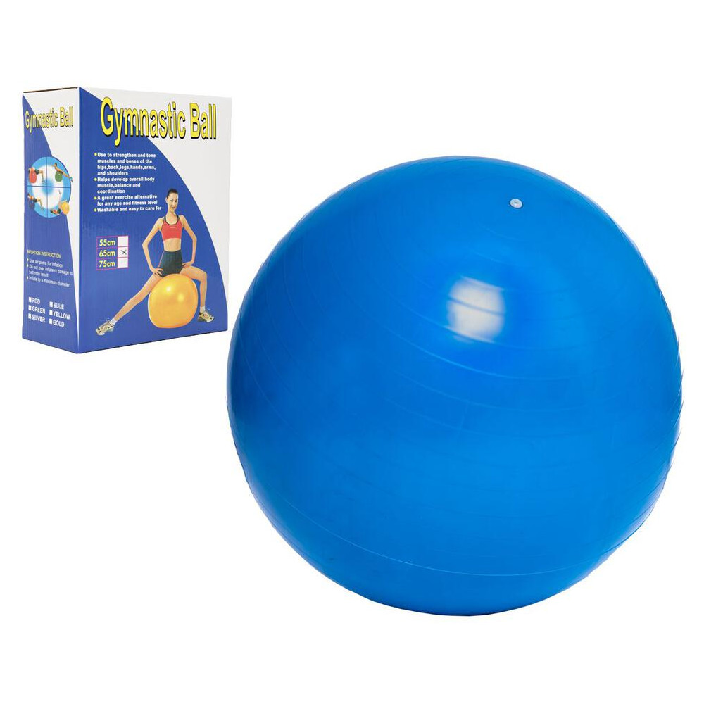 Unison Gymnastický míč 65cm rehabilitační relaxační