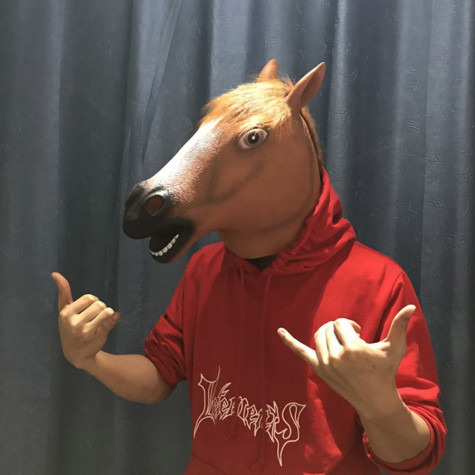 Maska koně ~ 5