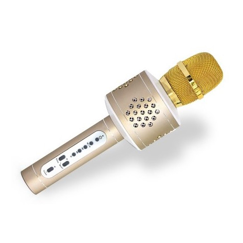 Teddies Mikrofon karaoke s bluetooth zlatý