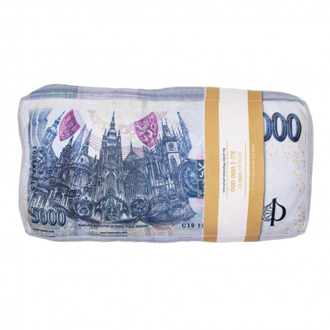 3D polštář 43 x 20 cm - Bankovky ~ 2