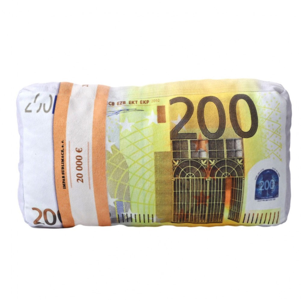 3D polštář 43 x 25 cm - Bankovky euro 200€