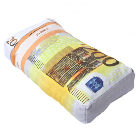 3D polštář 43 x 25 cm - Bankovky euro 200€