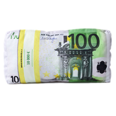 3D polštář 43 x 25 cm - Bankovky euro 100€