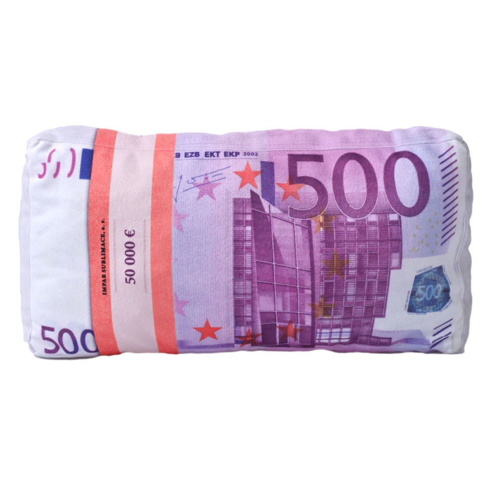 3D polštář 43 x 25 cm - Bankovky euro 500€