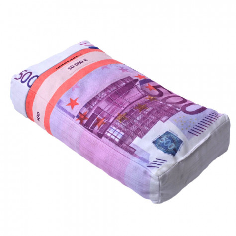 3D polštář 43 x 25 cm - Bankovky euro 500€