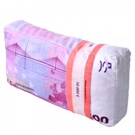 3D polštář 43 x 25 cm - Bankovky euro 500€