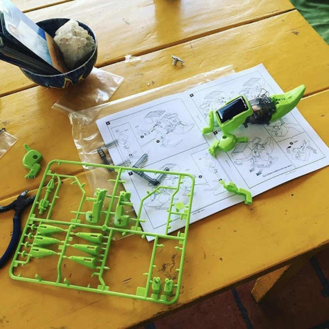 Solarbot 3v1 - dinosaurus, brouk, vrtačka ~ 4