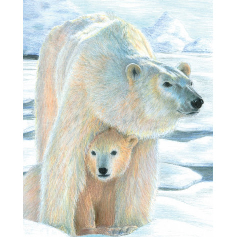 Royal Malování podle čísel pastelkami 22x28cm - Lední medvěd