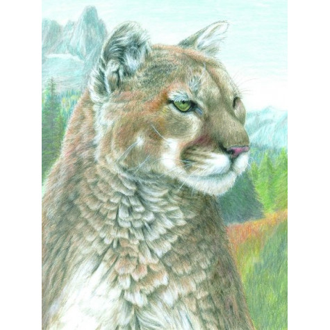 Royal Malování podle čísel pastelkami 22x28cm - Puma