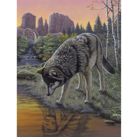Royal Malování podle čísel 22x30 cm - Vlk