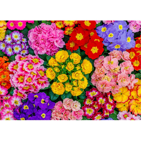 WOODEN CITY Dřevěné puzzle Rozkvetlé květiny 2v1, 505 dílků EKO