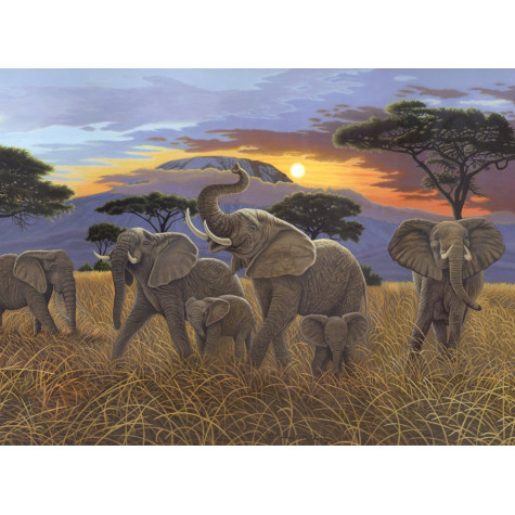 Royal Malování podle čísel 30x40 cm - Západ slunce nad Kilimanžárem