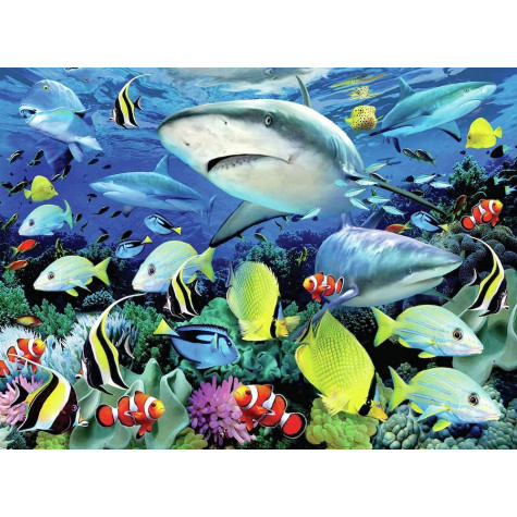 Royal Malování podle čísel 30x40 cm - Žraloci u útesu