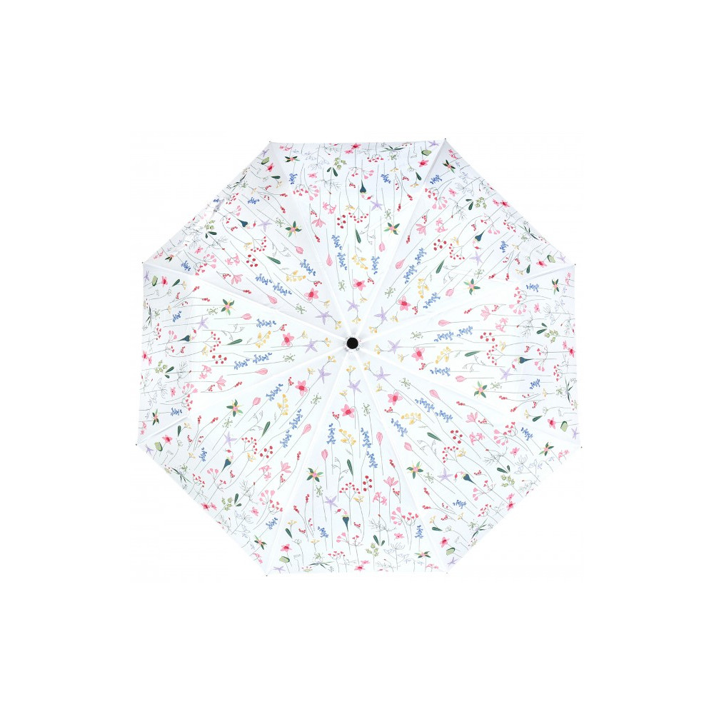 Albi Deštník - Luční květy