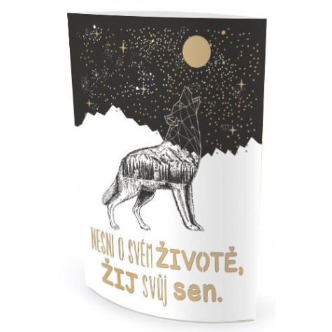 Nekupto Svítící dekorace lucerna - Nesni o svém životě ~ 1