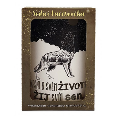 Nekupto Svítící dekorace lucerna - Nesni o svém životě ~ 2
