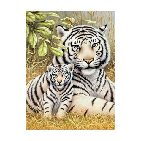 Royal Malování podle čísel 22x30 cm - Tygr s mládětem