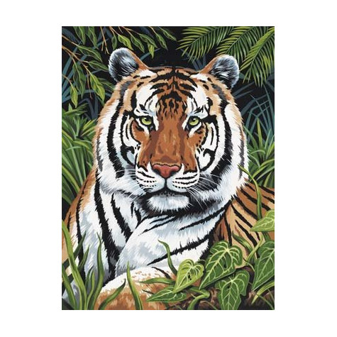 Royal Malování podle čísel 22x30 cm - Tygr v trávě