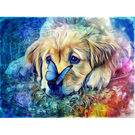 Diamantový obrázek malování 30x40cm - Labrador s motýlem ~ 2